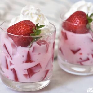 Low Calorie Jello & Yogurt Dessert - That Fit Fam